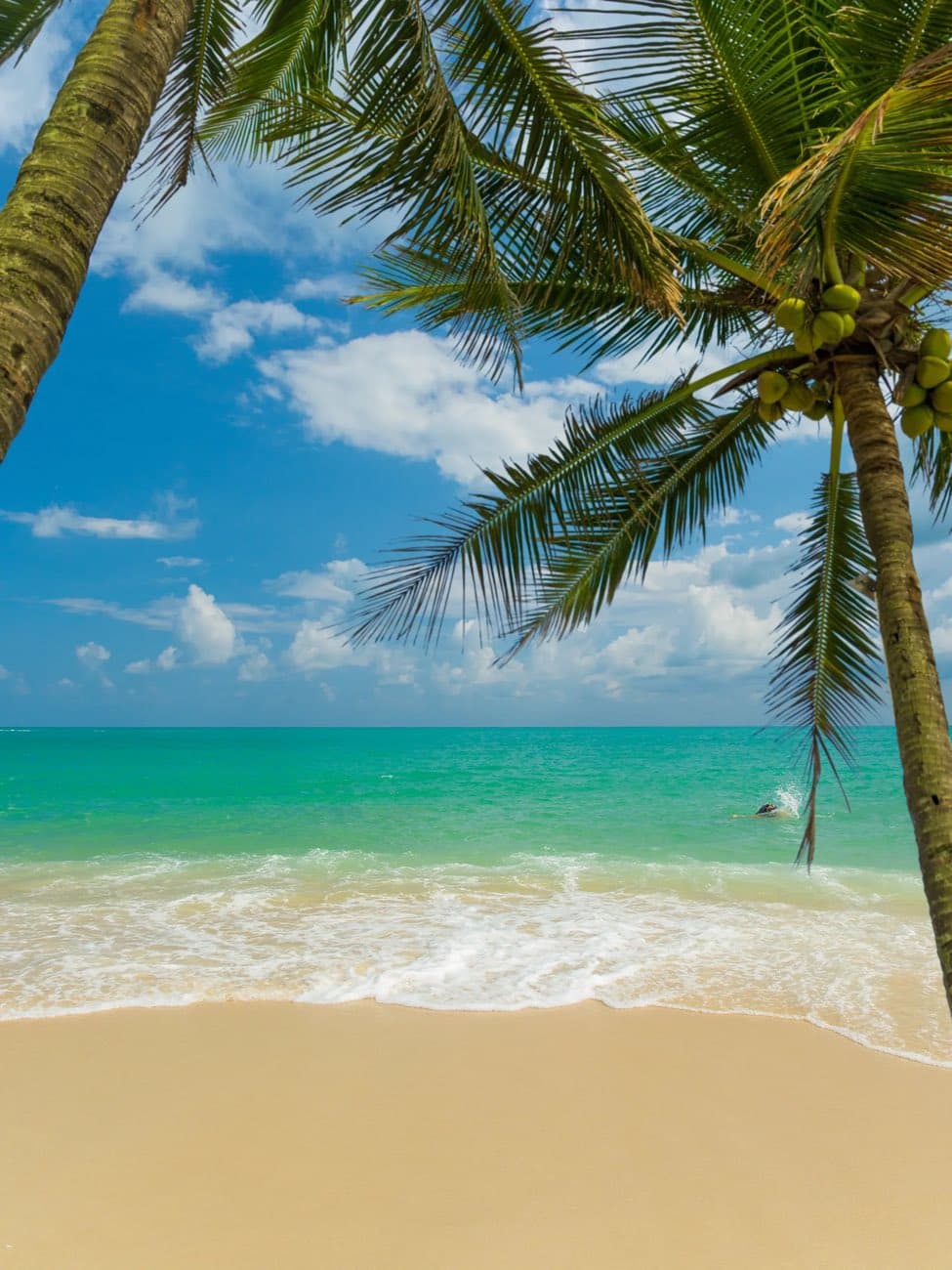 Tropical beach in Koh Samui